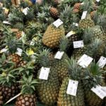 石垣島で地元の食材を買うなら『JAファーマーズマーケットやえやま ゆらてぃく市場』で決まり！