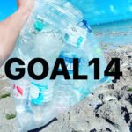 #3【地球視点】SDGs14番目のゴール『海の豊かさを守ろう』について