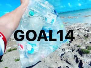 #3【地球視点】SDGs14番目のゴール『海の豊かさを守ろう』について